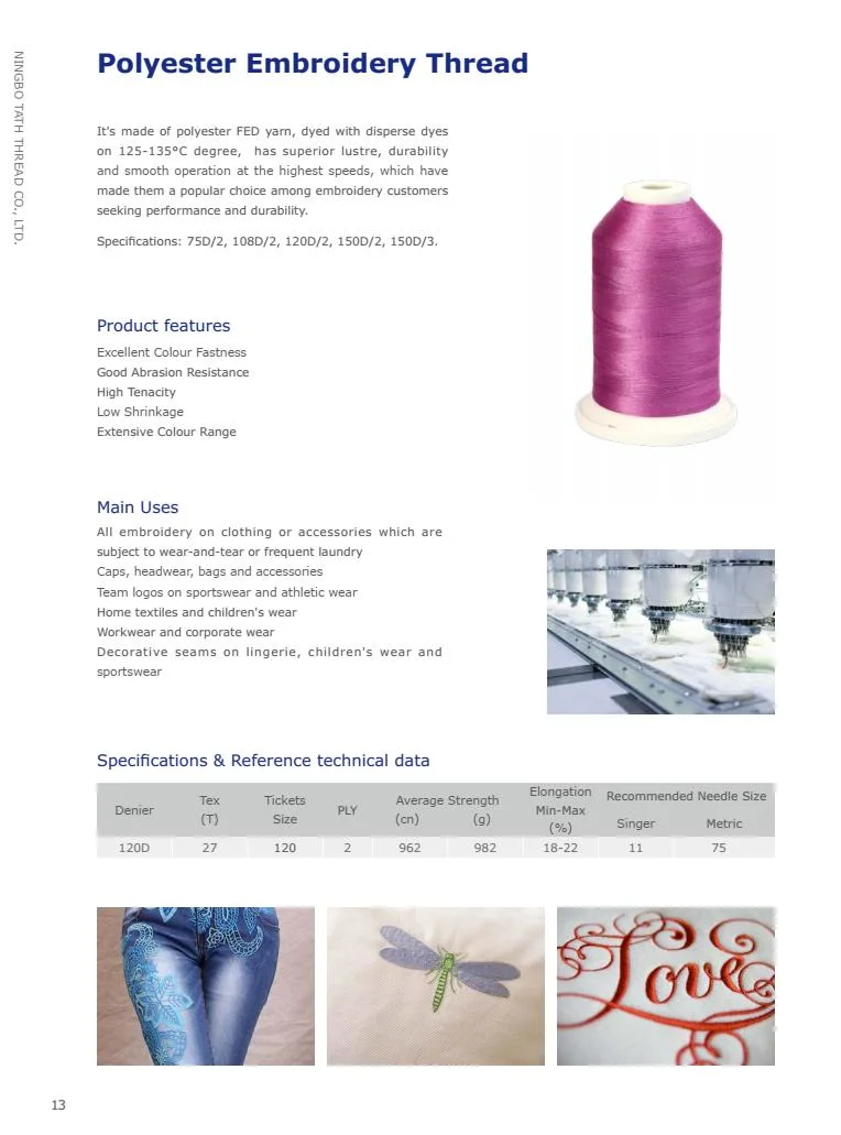 Tex27 (120D/2) ; Tex17; Tex35, etc. Bbbbin; Polyester Embroidery Thread